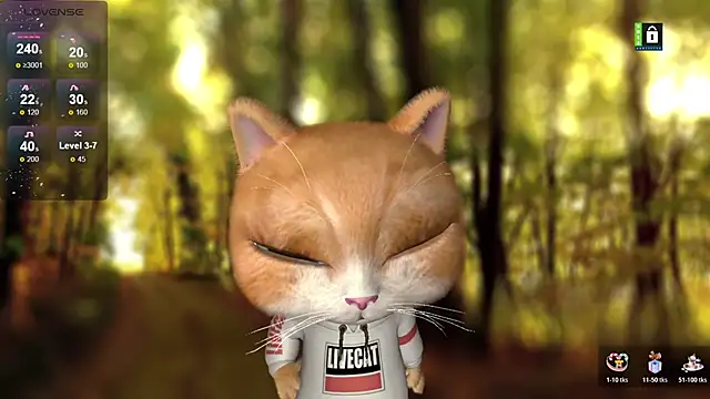 HH-1 webkamerás műsora