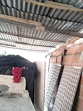 hoteder 即時 XXX 聊天