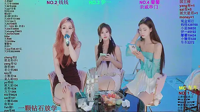 ZZ00033S Show Webcam