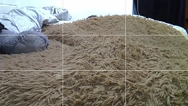 feeelipe2007 Chat XXX in diretta