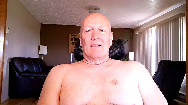 BasicAnt live XXX chat