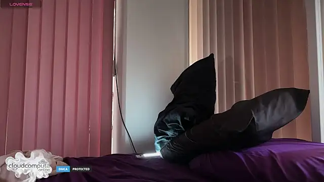 Pertunjukan Kamera Web bearcloudcomputa