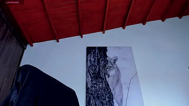 دردشة Santos_ramirez1 الجنسية المباشرة