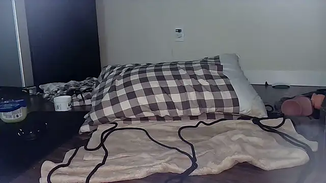 steelwoodVidsn Webbikameraesitys