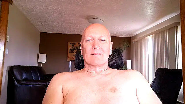 BasicAnt élő XXX-chatje