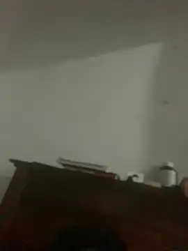 MilanBlazeのウェブカメラショー