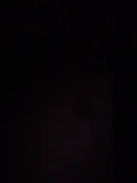 Elegant_Guy élő XXX-chatje