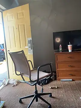 Stressreliever82: διαδικτυακό σόου στην κάμερα