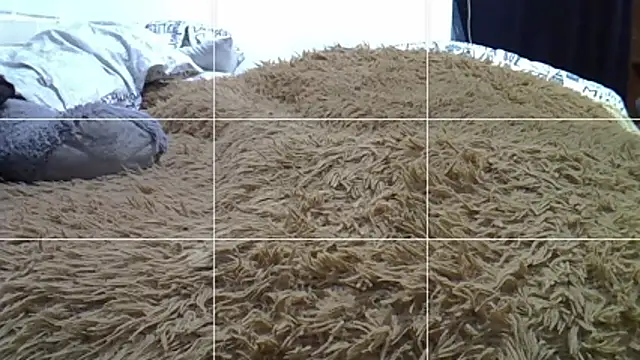 Chatroom XXX en direct de feeelipe2007