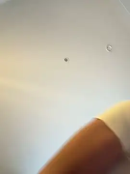 Show Webcam de Gipsyboysteve