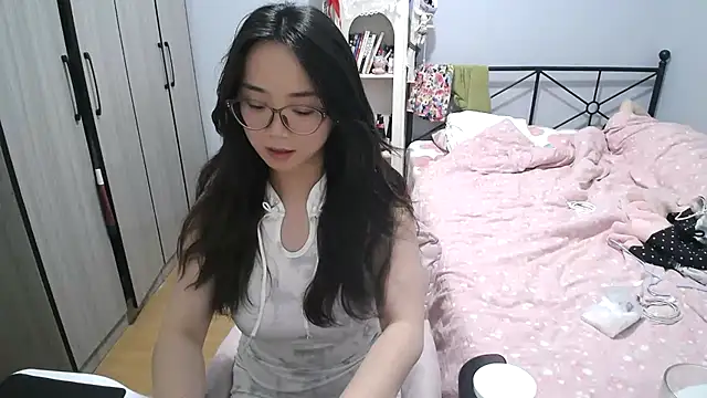 Hmm_0303n Webbikameraesitys