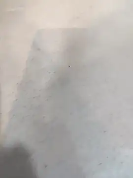 عرض كام SofiaMam