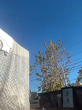 Show de luckydick333 na webcam