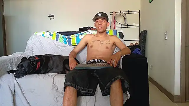 Party_Straight Pertunjukan Webcam