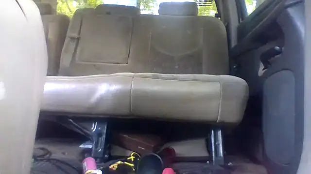 Show webcam de dickencidr