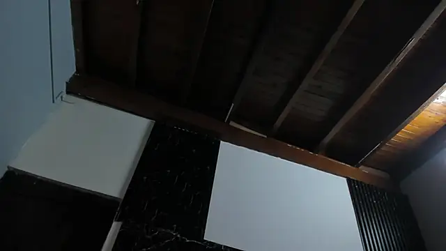 Michel_Flores' Webcam Show