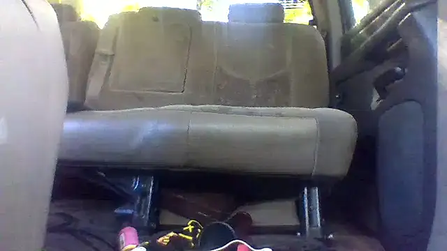 dickencidr Pertunjukan Webcam