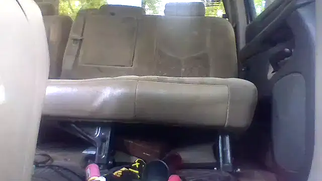 Show webcam de dickencidr