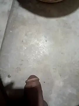 Pertunjukan Kamera Web Bengali_BULL1