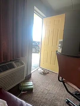 Онлайн чат XXX Stressreliever82