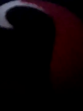 Show de japosamel na webcam