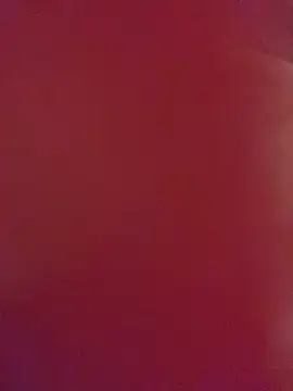 SexyTs888 élő XXX-chatje