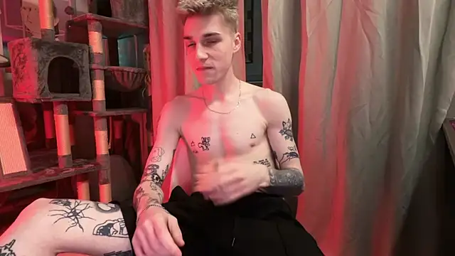 davesinner Pertunjukan Webcam