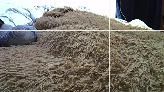 feeelipe2007 Obrolan Langsung XXX