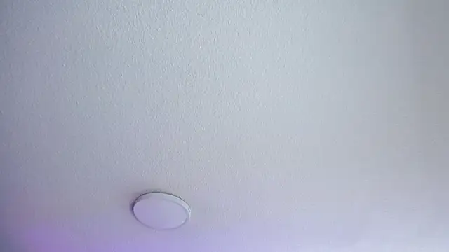 Chat +18 de _Charlotte_Collins_ ao vivo