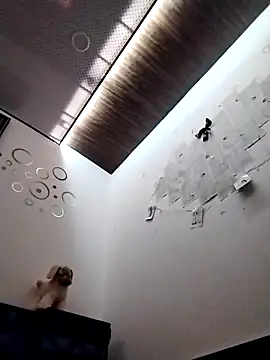 Wild_Vassu 网络视讯表演