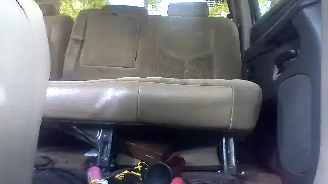 dickencidr Show in webcam