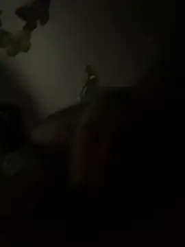 mikimakim: διαδικτυακό σόου στην κάμερα