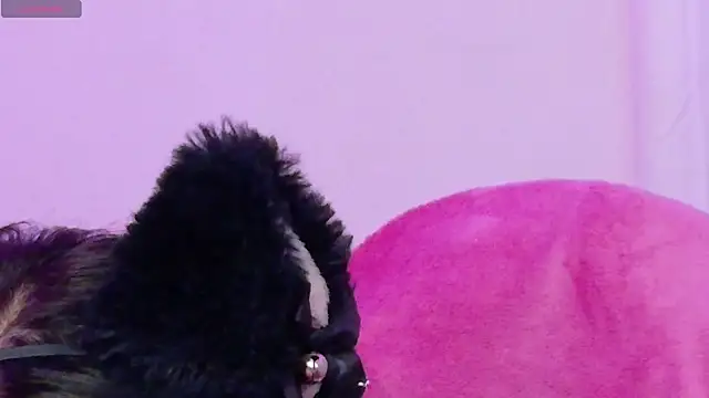 Chat XXX en directo de Sachi_Meow