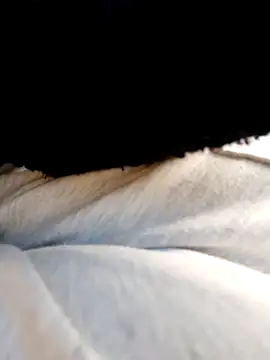 _Isabella-7 Webcam-Show