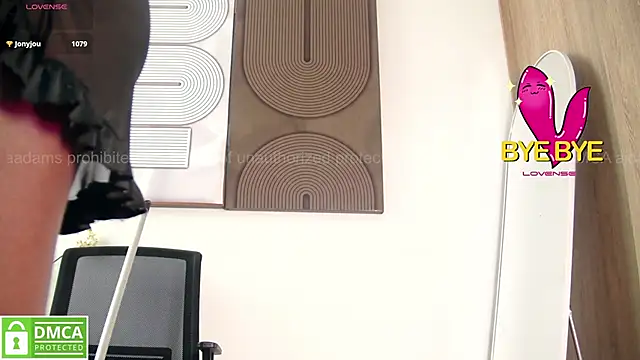 Živý XXX chat aidaadams