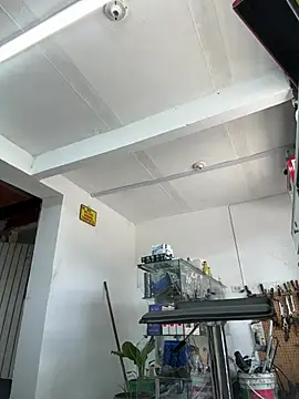 Paul22cm- élő XXX-chatje