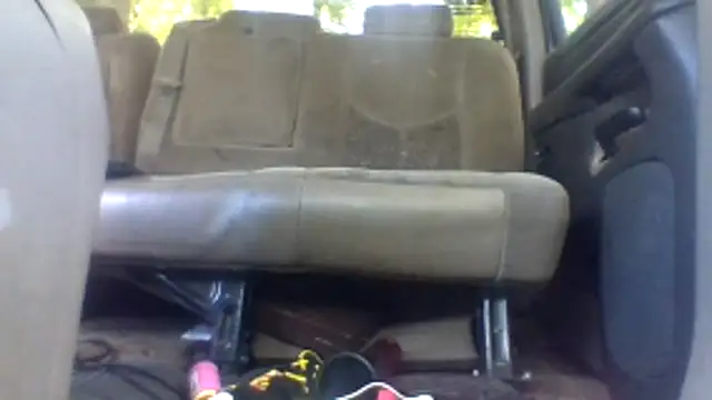 dickencidr's Webcam Show