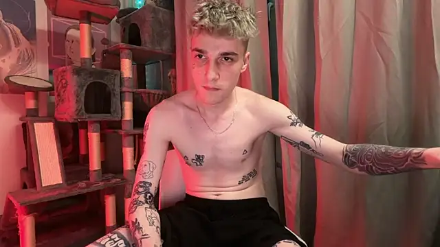 davesinnerのウェブカメラショー