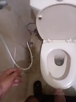 عرض كام Stallionbull37