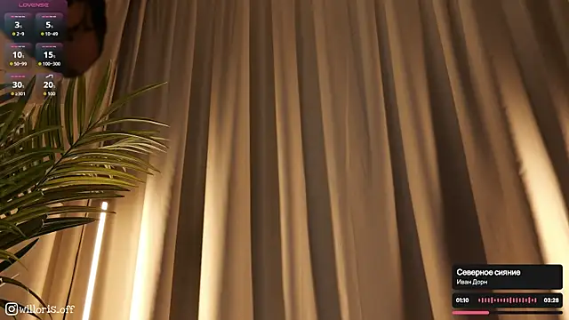 Онлайн чат XXX Willoris