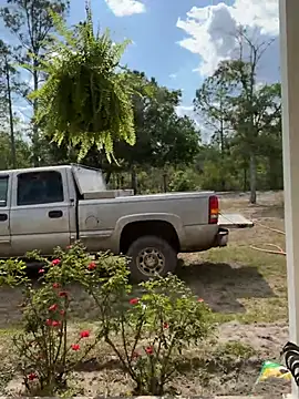 Countrypnp13 élő XXX-chatje