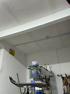 Show modela Paul22cm- na web-kameri