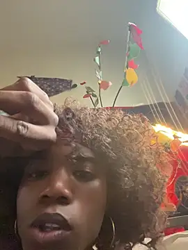 Show webcam de frenchiego