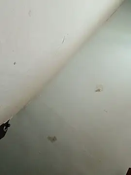 BuirdlyVerse's Webcam Show