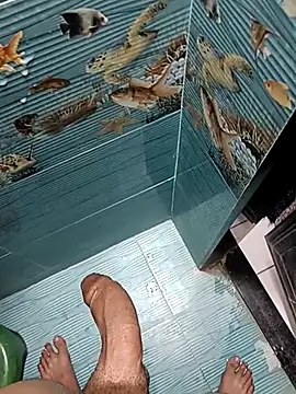 Pertunjukan Kamera Web Desi_lund10