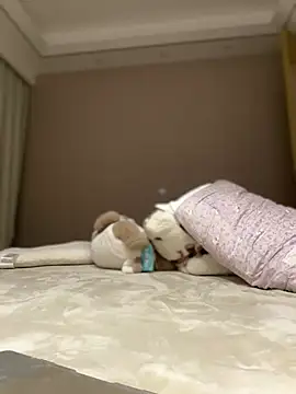 Chat XXX en directo de Kiwuvurfovo