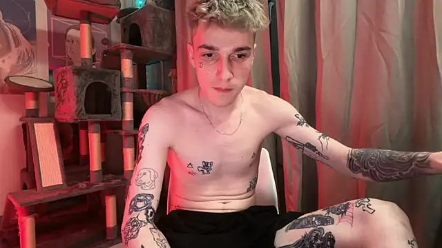 Вебкам-шоу davesinner