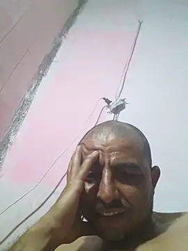 cobrosdepagos Show Webcam