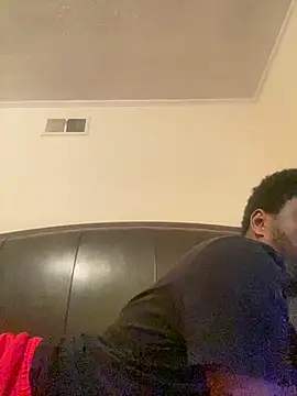 ThickDic28 Show in webcam