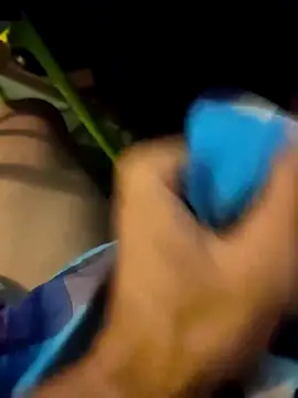 DeshiTiger 웹캠 쇼